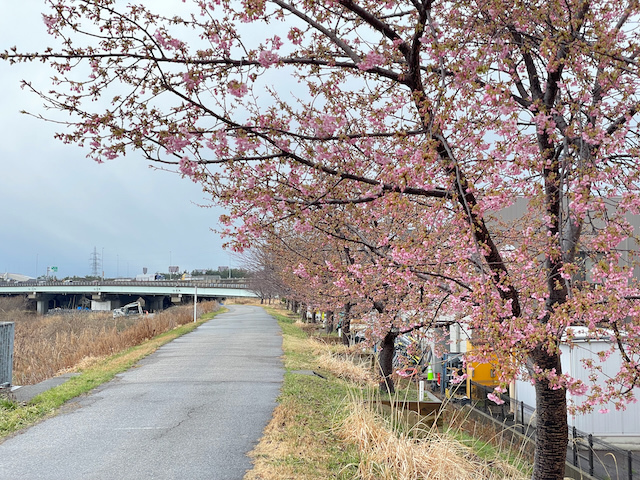 犀川沿いの自転車道